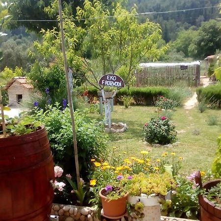 Apartman Rosa Daire Skradin Dış mekan fotoğraf