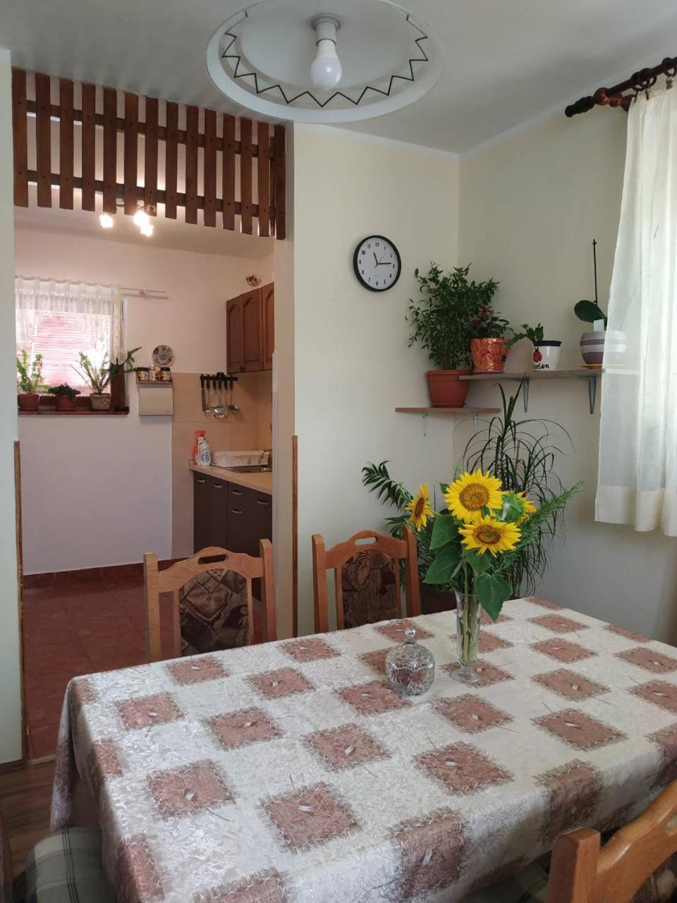 Apartman Rosa Daire Skradin Dış mekan fotoğraf